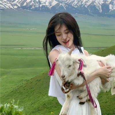车站的马博布